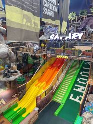 -卡通尼·Safari非洲探索乐园·生日会(金桥国际商业广场店)