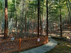 -敬亭山风景名胜区