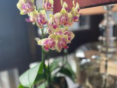 -夜上海(新天地店)