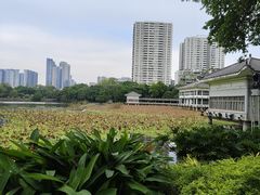 -荔湾湖公园