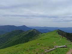 -秦岭风景区