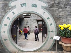 景点-碧江金楼