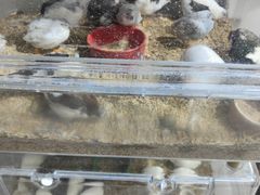 -三旗百汇商品城