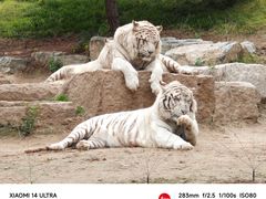 -北京野生动物园