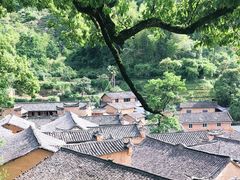 -杨家堂村