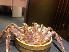 帝王蟹-蟹榭·本帮江浙菜·蟹宴(五角场合生汇商场店)