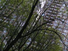 -唐城墙遗址公园