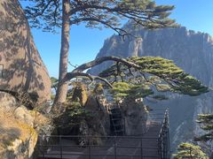 -黄山风景区