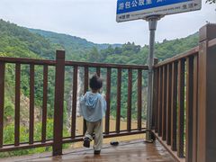 -浮槎山
