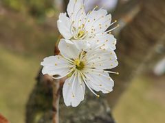 -国际非物质文化遗产博览园