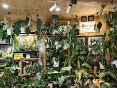 -Rabbit Cafe私房西餐甜点咖啡(栖霞路店)