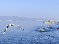 -海埂大坝