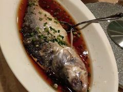 -喜来登由由大酒店九州膳坊中餐厅