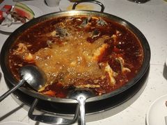 -蛙鱼道美蛙鱼自助火锅(新耍都店)