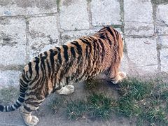 -深圳野生动物园