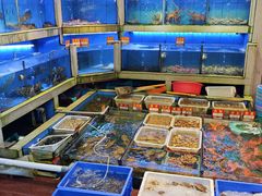 -东江海鲜大排档·潮汕菜·砂锅粥