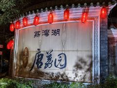 -侨美·唐荔园·40年地道粤菜