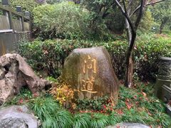 -十八棵（老龙井）御茶园(老龙井店)