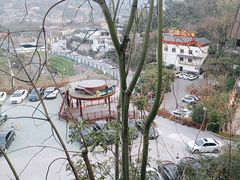 -巴倒烫陆派重庆火锅(南山店)