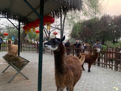 -西安秦岭野生动物园