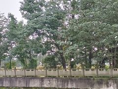 -蜀绣公园
