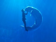 -多彩贵州城极地海洋世界