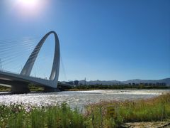 -永定河休闲森林公园