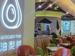 -油梨树AVOCADO TREE(嘉里中心店)