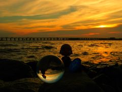 -宝安西湾红树林湿地公园