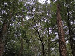 -峨眉山报国寺