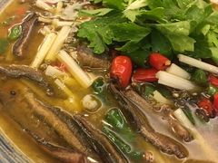 鲜椒水煮鳝鱼-邓公本味卤·江湖菜(天星桥创始店)