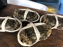 -阳澄湖大闸蟹·琼灵阁牌品牌连锁(吴中总店)