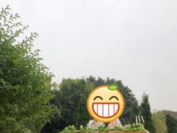 点击看大图 -金夫人婚纱摄影(总店)