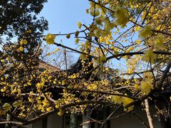 -惠山古镇·寄畅园