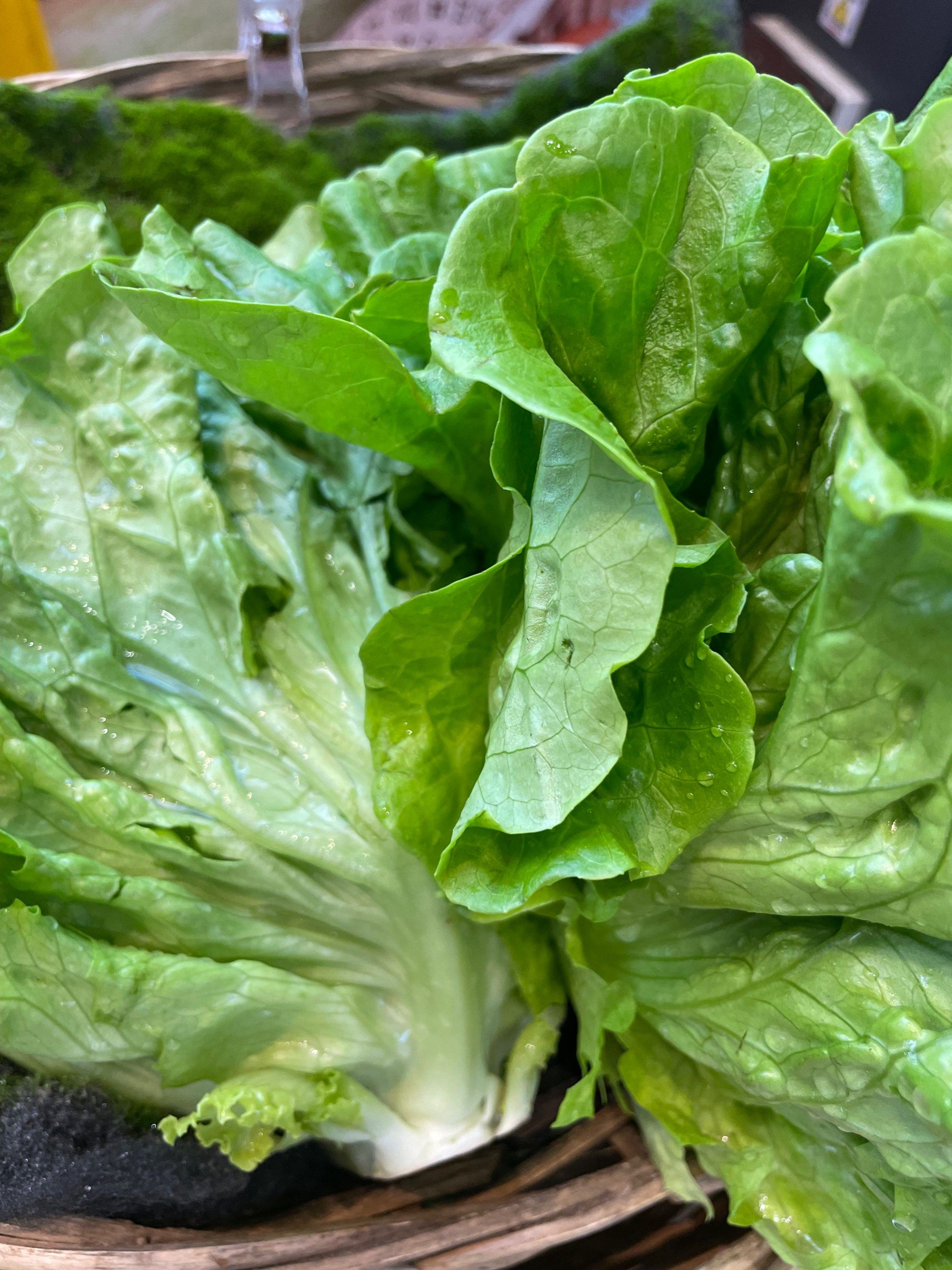 新鲜蔬菜的选择