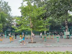 -莲花池公园
