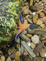 -钓虾工场·钓虾·赶海(回龙观店)