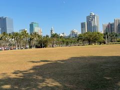 -万绿园