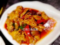 -金龙寨(龙城路店)