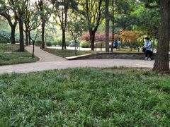 -南长河公园
