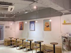 大堂-Heymao猫咖.咖啡厅(东门店)