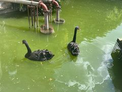 -昆明动物园