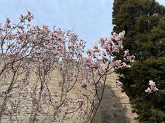 -东华门大街小区