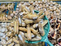 -半岛听涛蒸汽海鲜自助(K11店)