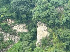 -少华山国家森林公园
