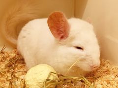 -龙猫仔乐园(惠福东路店)