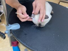 -美联众合动物医院·24h京西诊疗中心