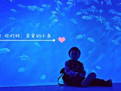 -哈尔滨波塞冬海底世界