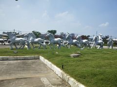 -胜华驾校·小猫学车(银都店)