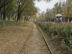 -永定河休闲森林公园